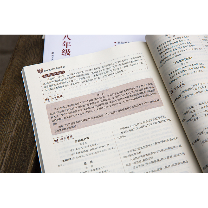初中古诗文考点特训七八九年级语文古诗文一本通高频考点专项训练初中生课内外古诗文文言文阅读特训导学全解析南京大学出版社