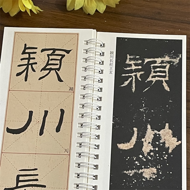 [正版]共2本汉礼器碑临读对照版原碑拓本修复本近距离临摹卡米字格放大简体旁注原色原帖隶书毛笔书法字帖成人学生临帖范本崇高清大图