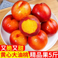 新鲜油桃 5斤带箱 (4.5斤净重)桃子 黄心油桃 新鲜水果 生鲜水果 陈小四水果 特产