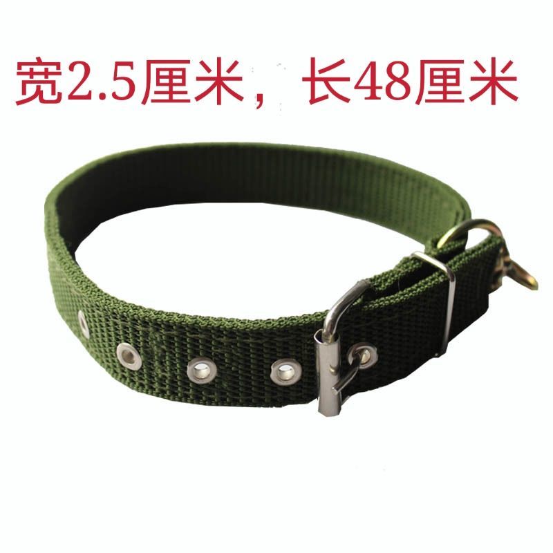 大型犬狗狗项圈狗圈颈圈脖圈中型犬金毛德牧马犬小型犬脖套子头套 单排扣宽2.5厘米建议重量18斤内