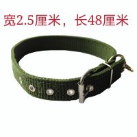 大型犬狗狗项圈狗圈颈圈脖圈中型犬金毛德牧马犬小型犬脖套子头套 单排扣宽2.5厘米建议重量18斤内