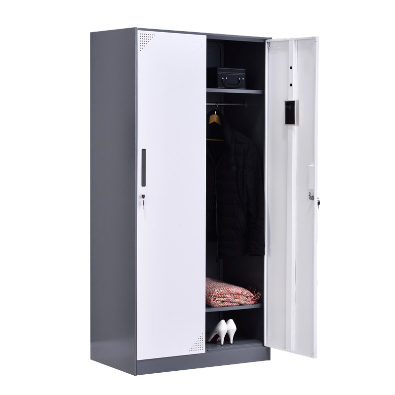 臻远ZY-GYGC-1拆装更衣柜窄边储物柜 灰白套色二门更衣柜高清大图