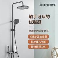 SEREN HOME 赛恩卫浴淋浴花洒套装卫生间满天星大顶喷置物含喷枪淋浴器洗澡龙头