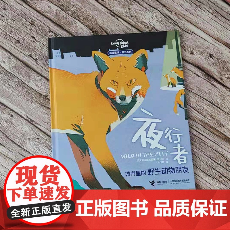 城市里的野生动物朋友:夜行者高清大图