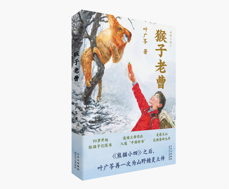 花猫三丫上房了 [正版]叶广芩童书五部曲全5册 猴子老曹+熊猫小四+土狗老黑闯祸了+耗子大爷起晚了+花猫三丫上房了 北京高清大图