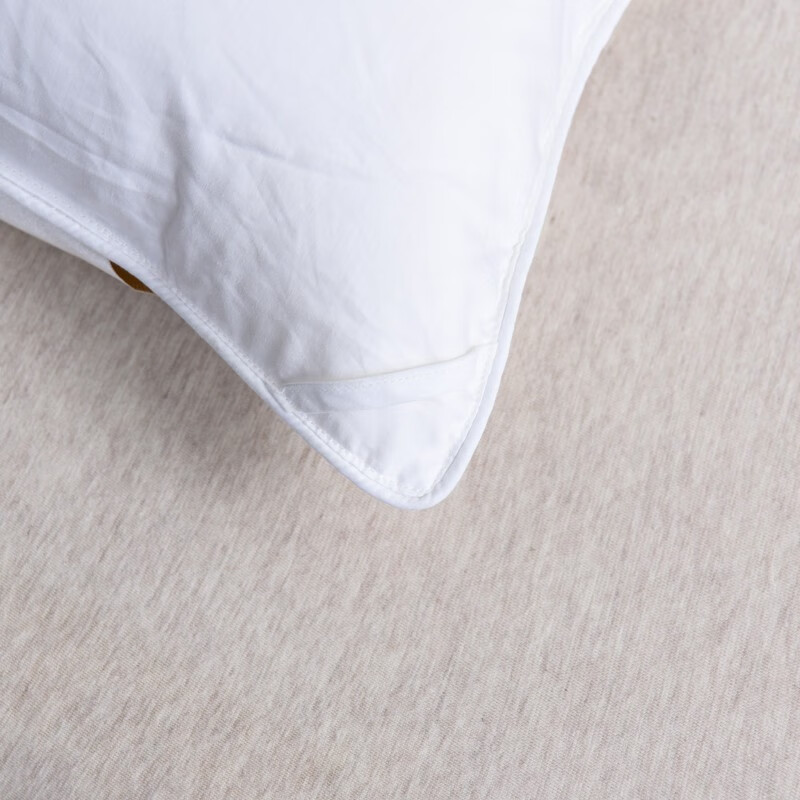 啄木鸟(PLOVER)秋冬被-精品羽绒被ZMN-YRB-01(200*230cm/2.9KG)高清大图