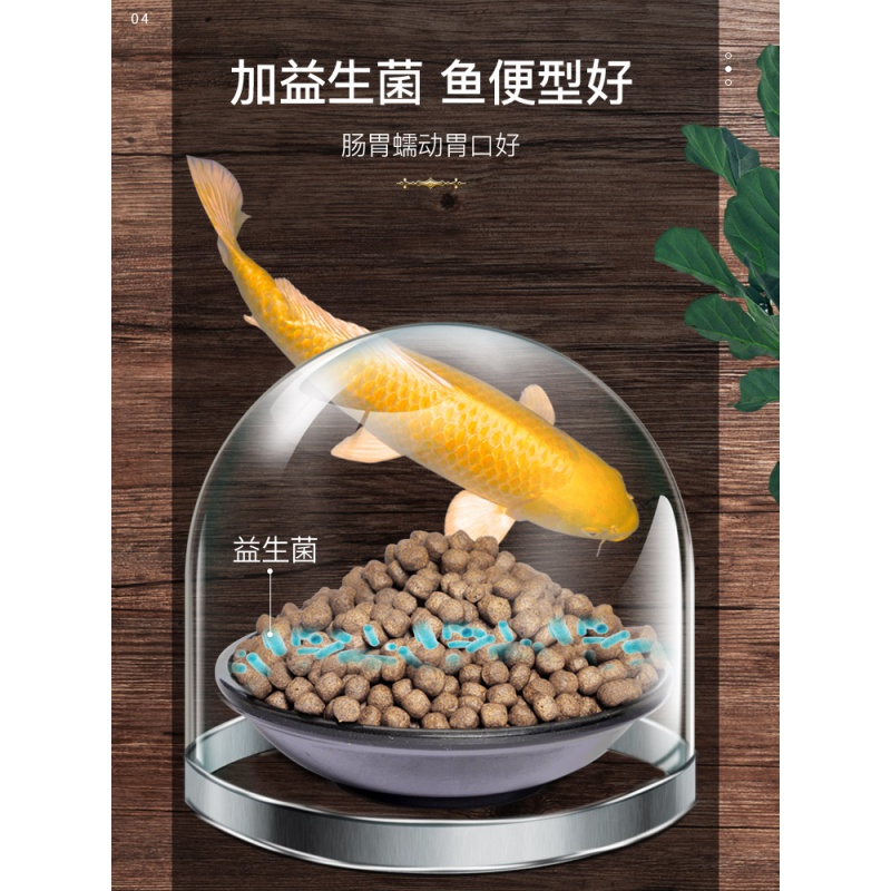 鱼食锦鲤饲料观赏鱼金鱼小颗粒专用鱼粮增体增色增艳育成通用中型高清大图