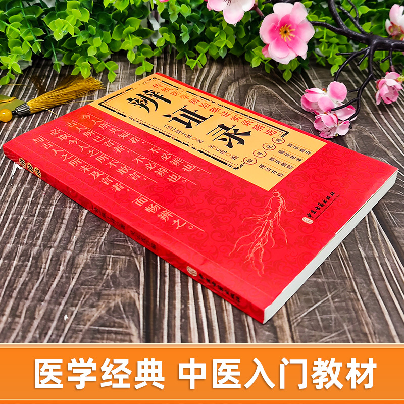 医理真传 [正版]抖音同款辨证录 辨证奇闻陈士铎医学全书 传统医学临证实录精选 中医临床用药经验集辨证施治医案经典药方