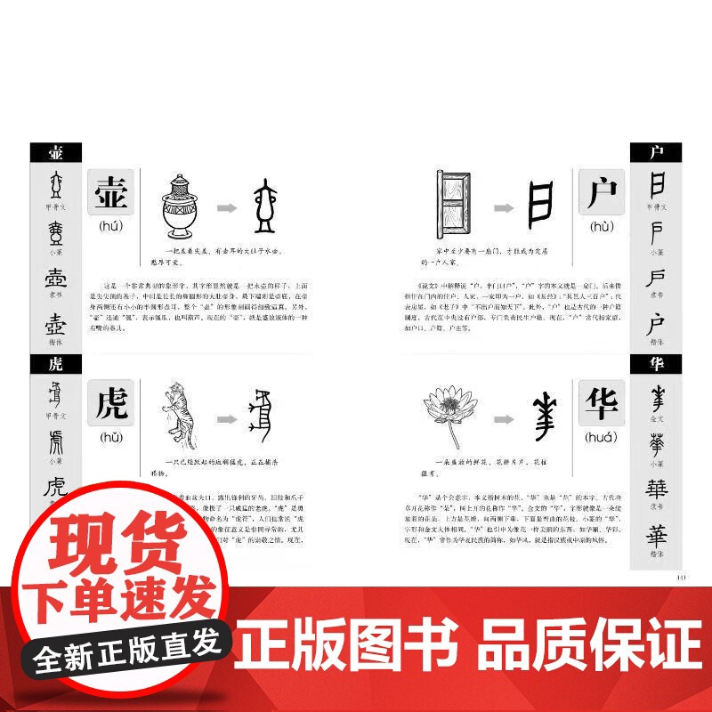 图解说文解字 画说汉字1000个汉字的故事 许慎著 图说展示汉字演变过程语言文字国学书籍 一眼就能看懂汉字的本来意义高清大图