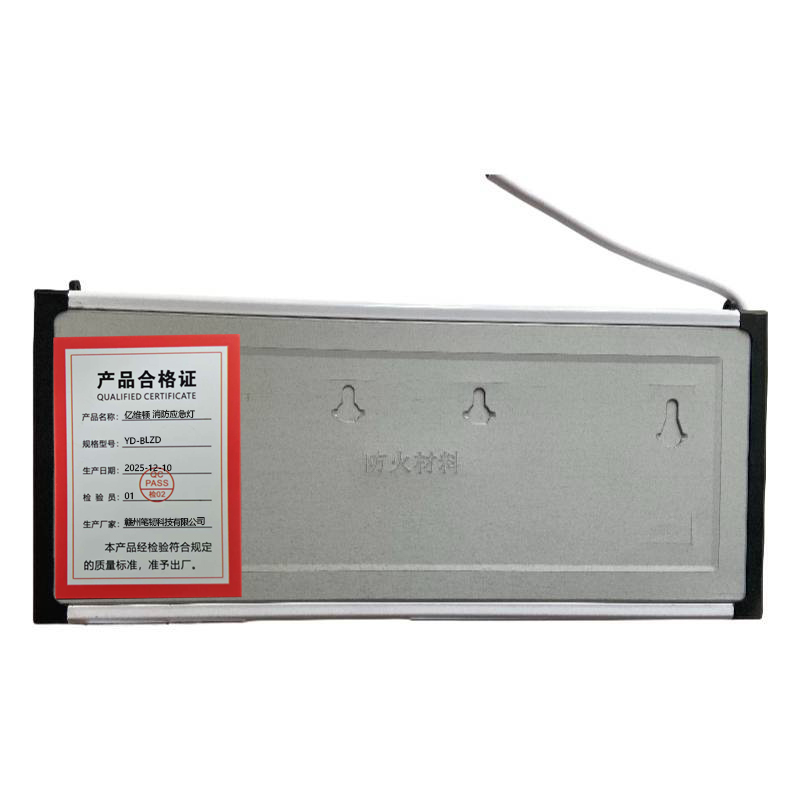 亿维顿 消防应急灯 YD-BLZD (方向备注) 个高清大图