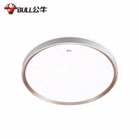 公牛(bull)24W全白吸顶灯1个+48W星灿吸顶灯1个 客厅灯具卧室灯
