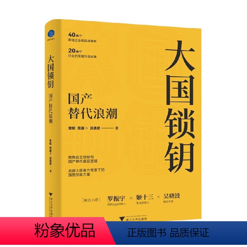 [正版]大国锁钥 国产替代浪潮 曾航等 著 罗振宇姬十三吴晓波 聚焦自主创新 国产替代底层逻辑 经济高清大图