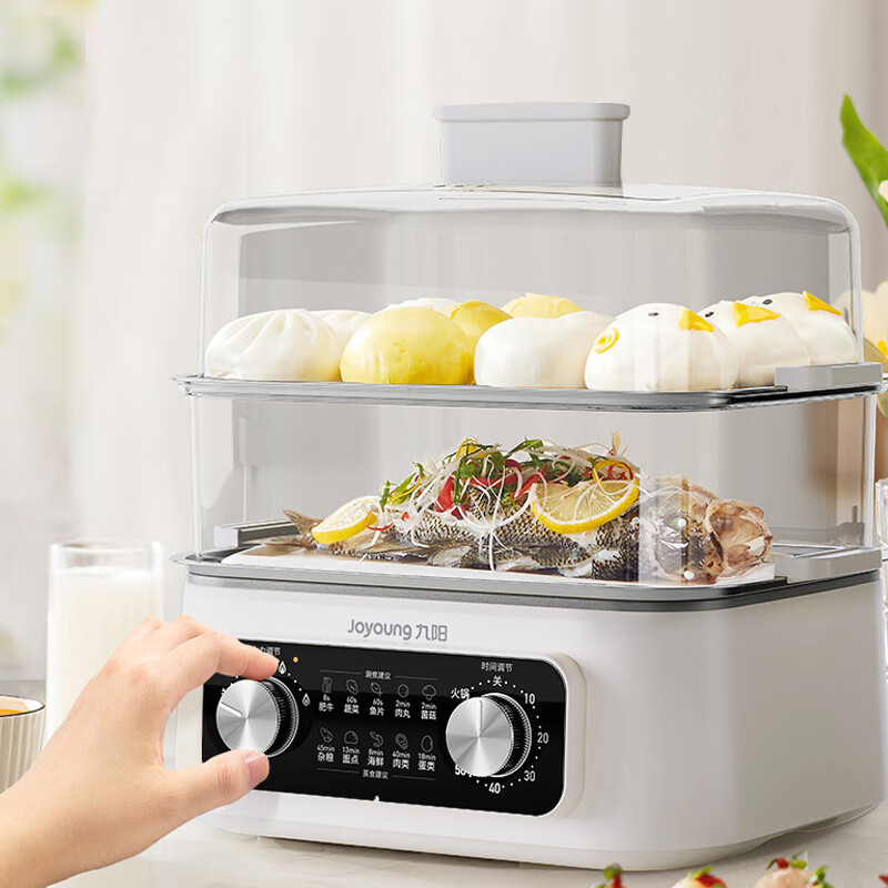 九阳(Joyoung)电蒸锅 多功能家用电热锅电火锅多档火力调节
