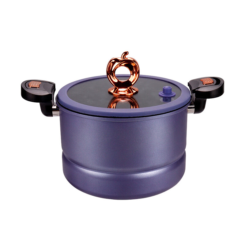 荣事达(Royalstar)RSD048-FJ招财进宝9件套 5.5L(单位:套)