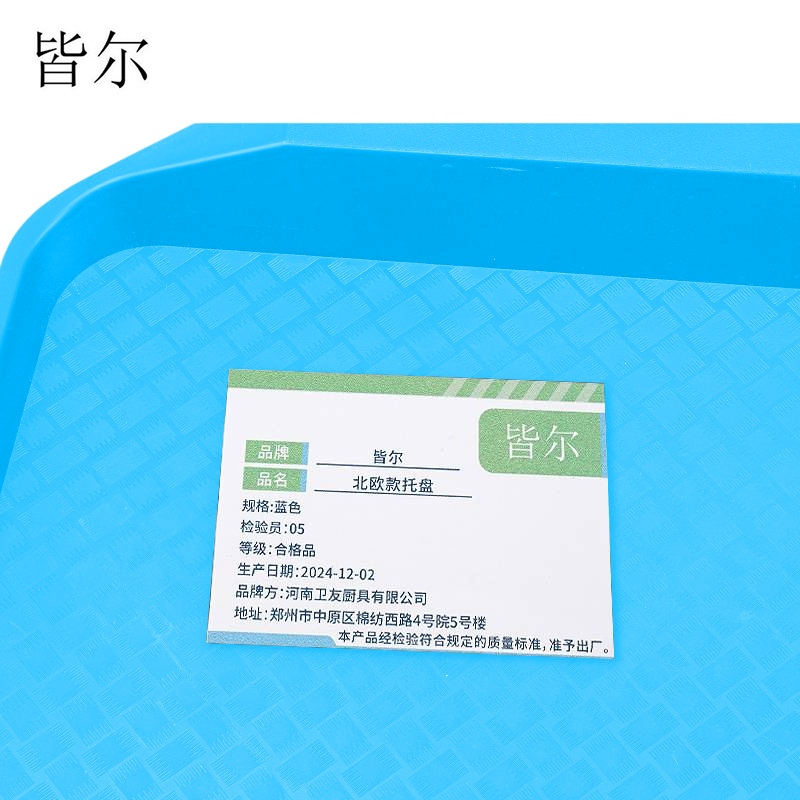 皆尔 北欧款 托盘 蓝色 /个高清大图