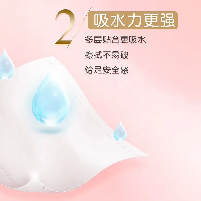 洁柔 BJ219-10A锦绘芳华有芯卫生纸200g4层10卷提装高清大图
