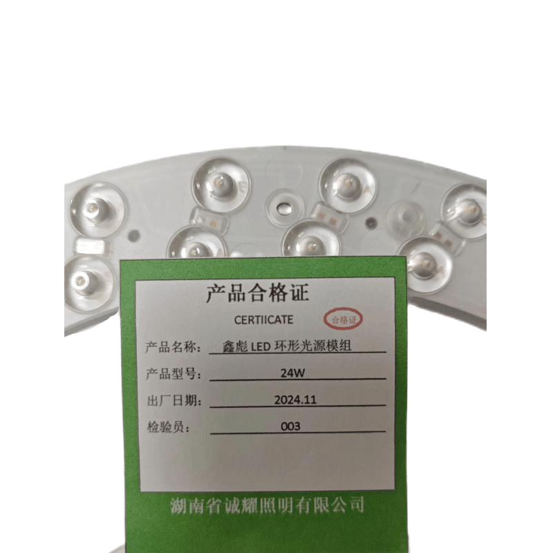鑫彪光源模组LED光源24W支图片