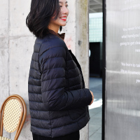 北极绒轻薄羽绒服女短款2019冬季新款韩版大码轻便内胆修身圆领外套60CY1901