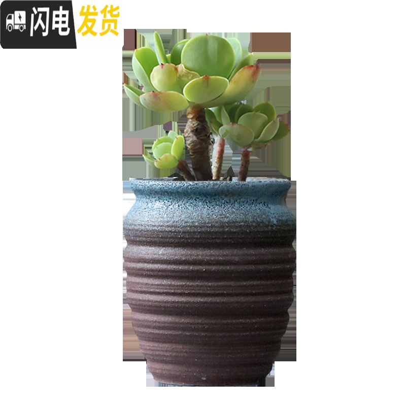 三维工匠多肉花盆陶瓷粗陶透气创意简约多肉创意复古小老庄植物多肉盆 单个306复古(青绿泡釉) 中等花盆容器高清大图