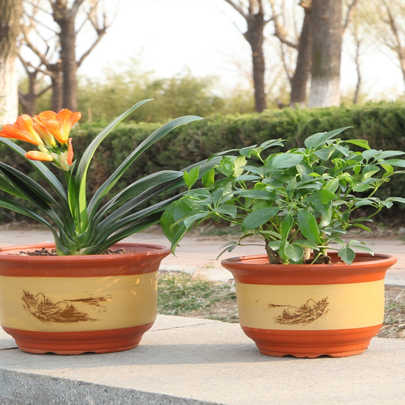 花盆特大号花盆紫砂粗砂陶土陶瓷大号花盆高档落地盆景兰花盆花卉绿植