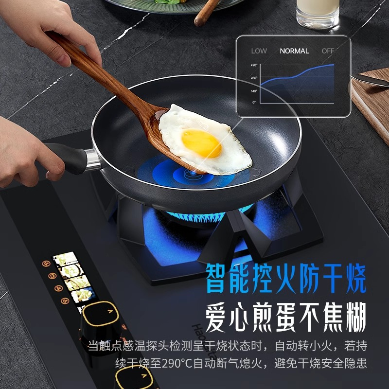 Haotaitai燃气灶JZT-H201天然气5.2kW双灶防干烧双定时高端智能灶APP智能菜谱语音指引烹饪
