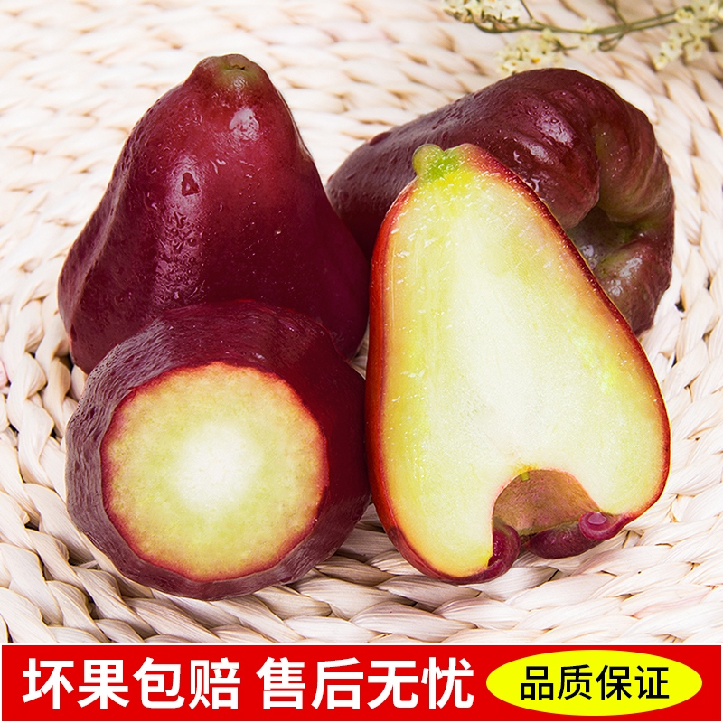 [熊猫鸟]海南黑金刚莲雾 热带水果 净重4.5斤 大果 单果80-120g 当季水果 现摘现发 清甜爽口高清大图