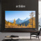 TCL 液晶电视机 85X6C 4K 超高清 85寸