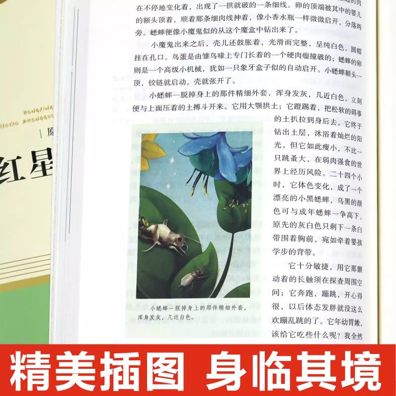 [人教版]昆虫记 买1赠2 [正版]红星照耀中国和昆虫记原著必读名著法布尔八年级上册必读课外书人民教育出版社初二8初中阅