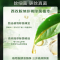 立白卫仕除菌洗衣液雨林茶花1kg*2袋茶树精油精萃植物除菌抑菌除异味深层洁净