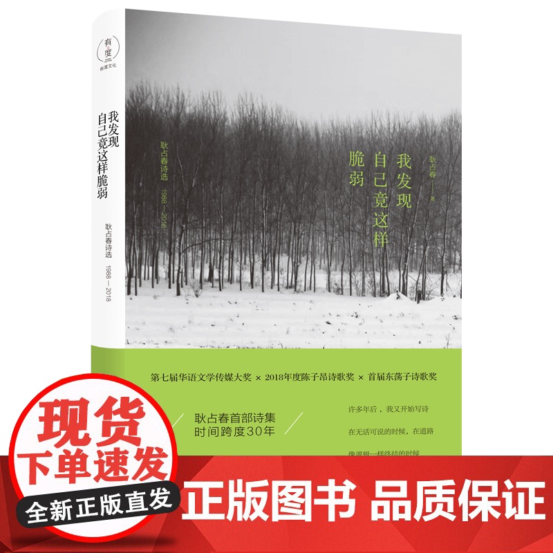 我发现自己竟这样脆弱 第七届华语文学传媒大奖×2018年度陈子昂诗歌奖×首届东荡子诗歌奖 有度文化出品高清大图