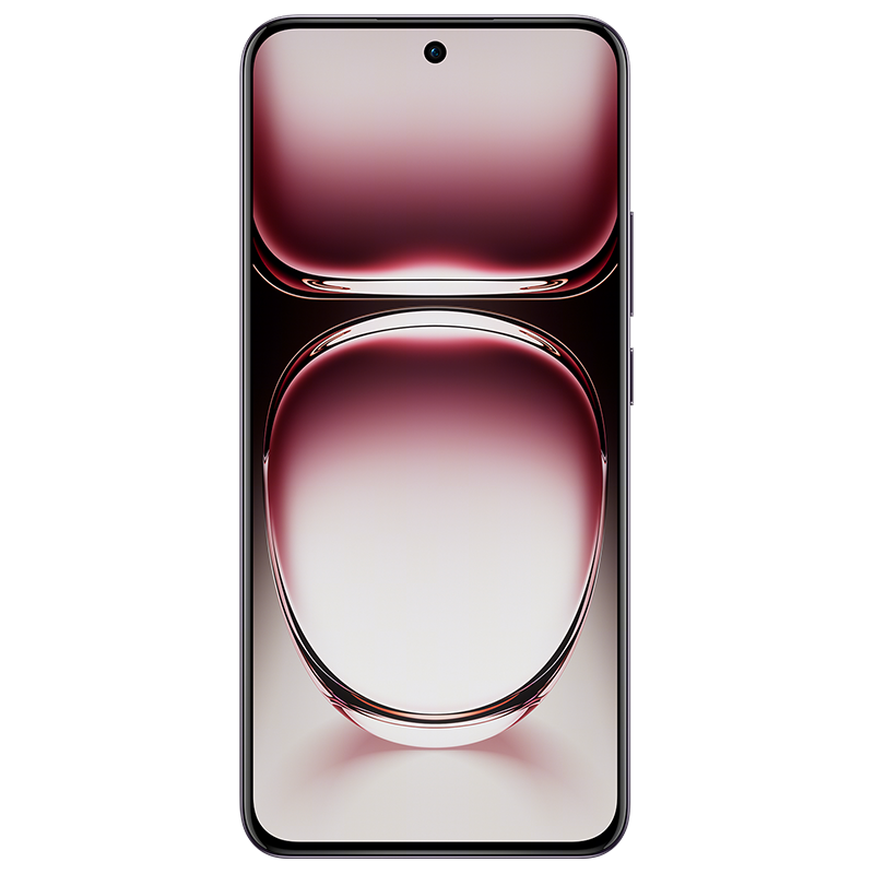OPPO Reno12 乌木黑 16GB+256GB 5G数字移动电话 全网通手机