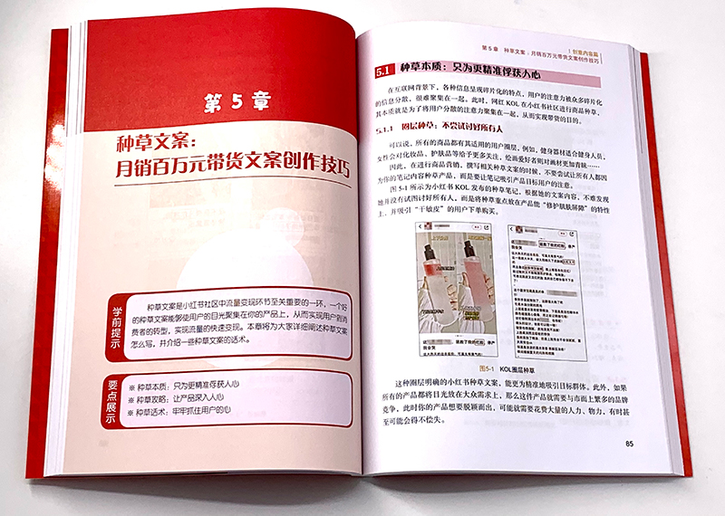 [正版]小红书内容创作 运营与带货从小白到高手 小红书运营手册 零基础玩转小红书 小红书从入门到精通 新手小白玩转小红高清大图