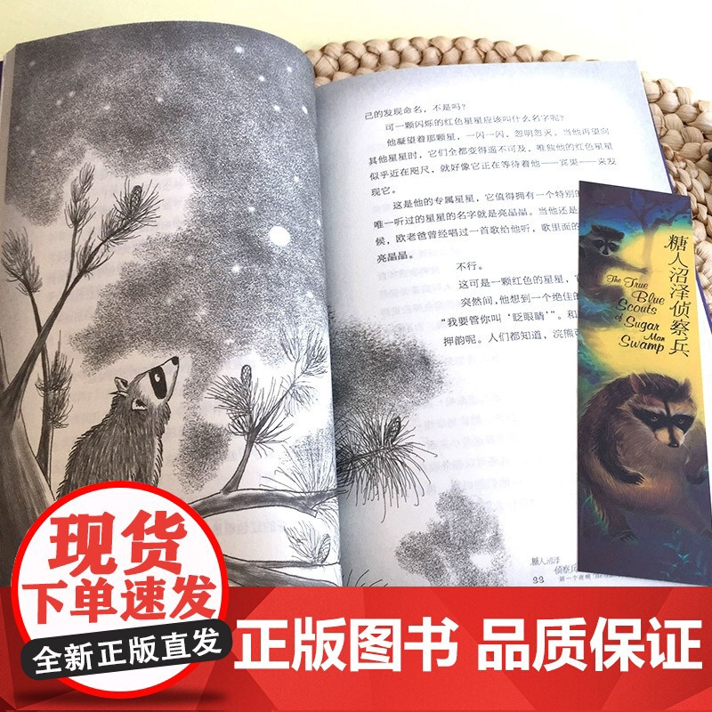 糖人沼泽侦察兵/长青藤国际大奖小说书系 外国儿童文学读物三四五六年级小学生课外阅读书籍青少年版8-10-12周岁新华正版高清大图