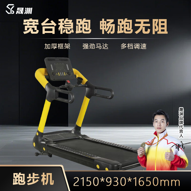 晟渊 跑步机家用款电动走步机智能折叠多功能健身器材YT-8005