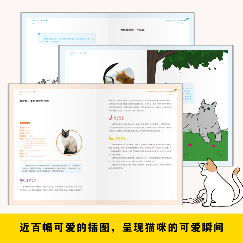 给猫咪一个安全的家 [正版]养猫这一本就够了猫咪图鉴百科书养猫基础工具书我的养猫书养猫入门指南养猫书养猫全攻略养猫科普书高清大图