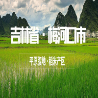 2020年11月新米梅河口东北长粒香米,1年1熟,米香浓郁q弹软糯