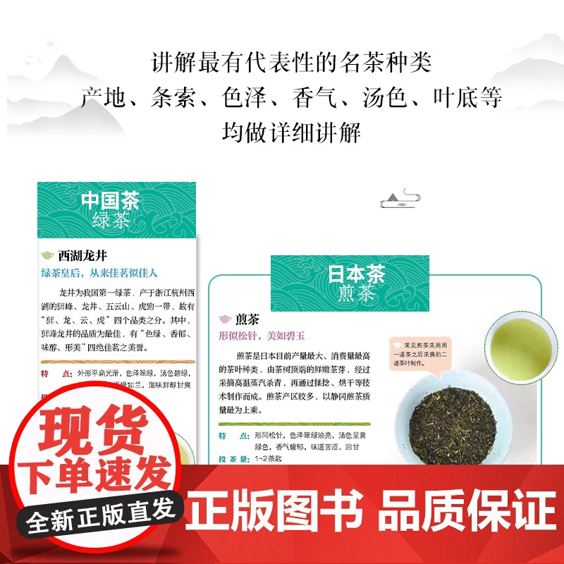茶图鉴:从识茶到品茶 康菲 中国轻工业出版社 正版书籍高清大图