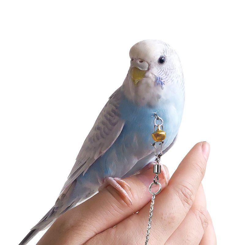 小型鸟用脖绳脖套鹦鹉脚环链画眉黄鹂蜡嘴伯劳八哥绳锁脖链虎皮脖套送