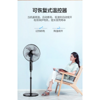 格力(GREE)[国家补贴]电风扇家用节能落地扇学生立式大风量客厅宿舍机械五叶扇 FD-4012-WG 黑
