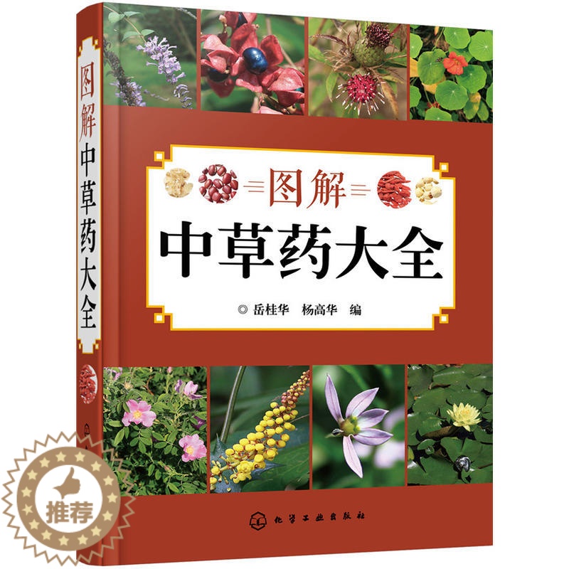 【醉染正版】图解 中草药大全 家庭中草药图典 中草药彩色图鉴 中医养保健书籍 野外识别原植物鉴别图册 常见中草药检索工