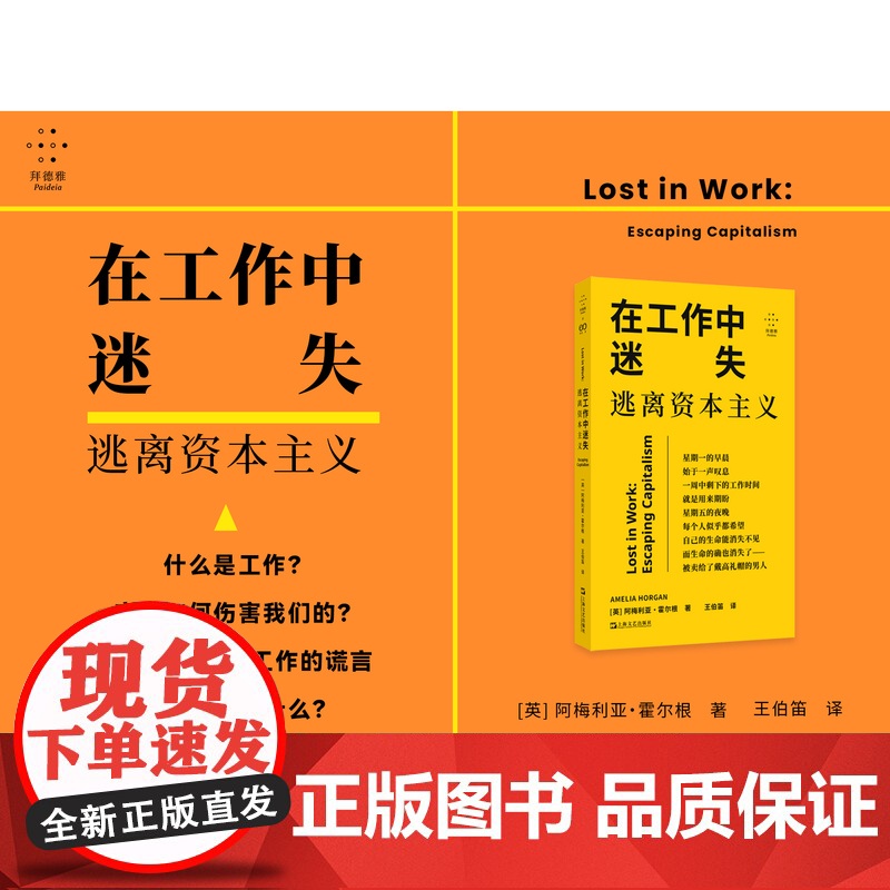 YS 在工作中迷失:逃离资本主义 阿梅利亚·霍尔根著 努力不一定带来满足,摸鱼可能有点道理 拆穿工作背后的谎言 上海文艺高清大图