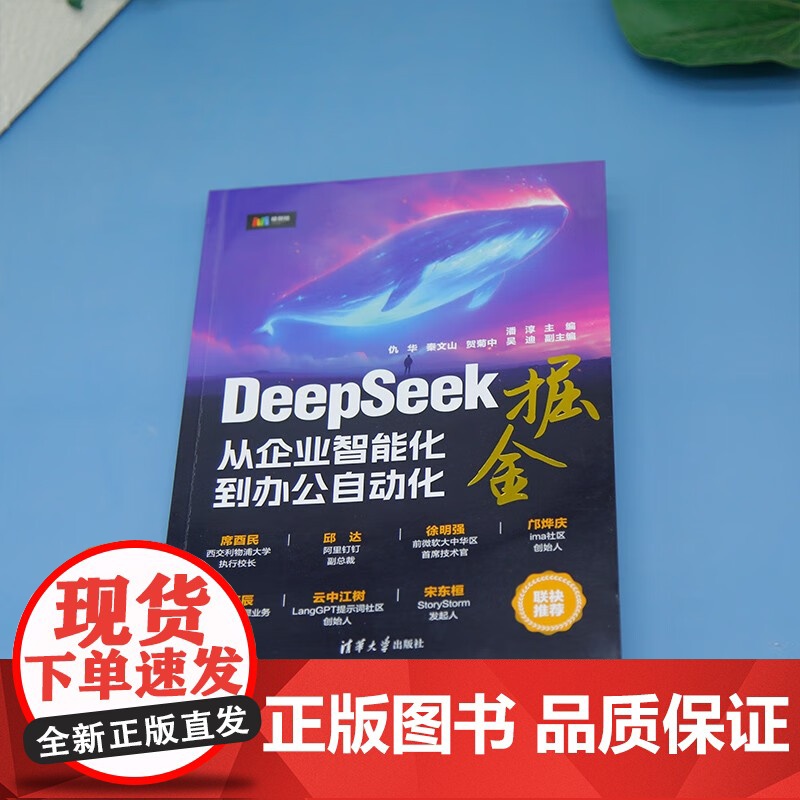 DeepSeek掘金 从企业智能化到办公自动化 潘淳 著 计算机与互联网高清大图