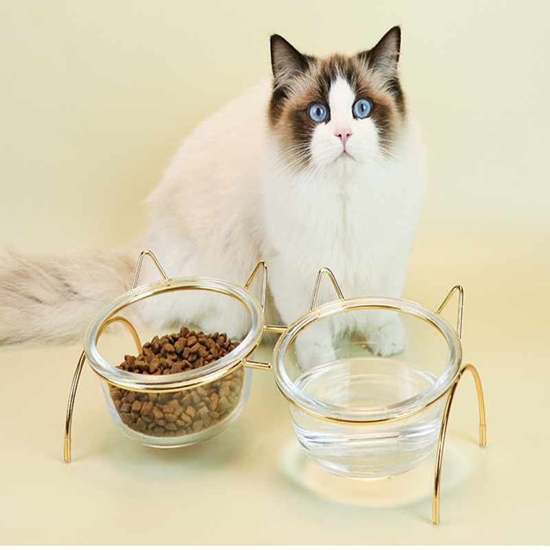 猫碗双碗玻璃米妮斜口保护颈椎猫食盆猫粮碗猫吃饭猫碗