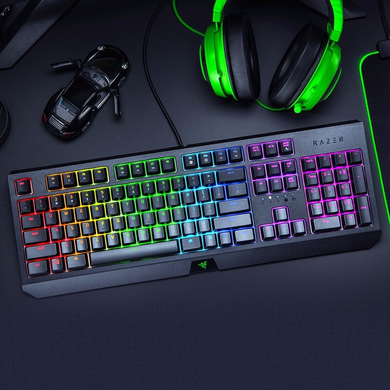 雷蛇(Razer)黑寡妇蜘蛛 机械键盘 绿轴 有线键盘 游戏键盘 电竞吃鸡键盘 幻彩版