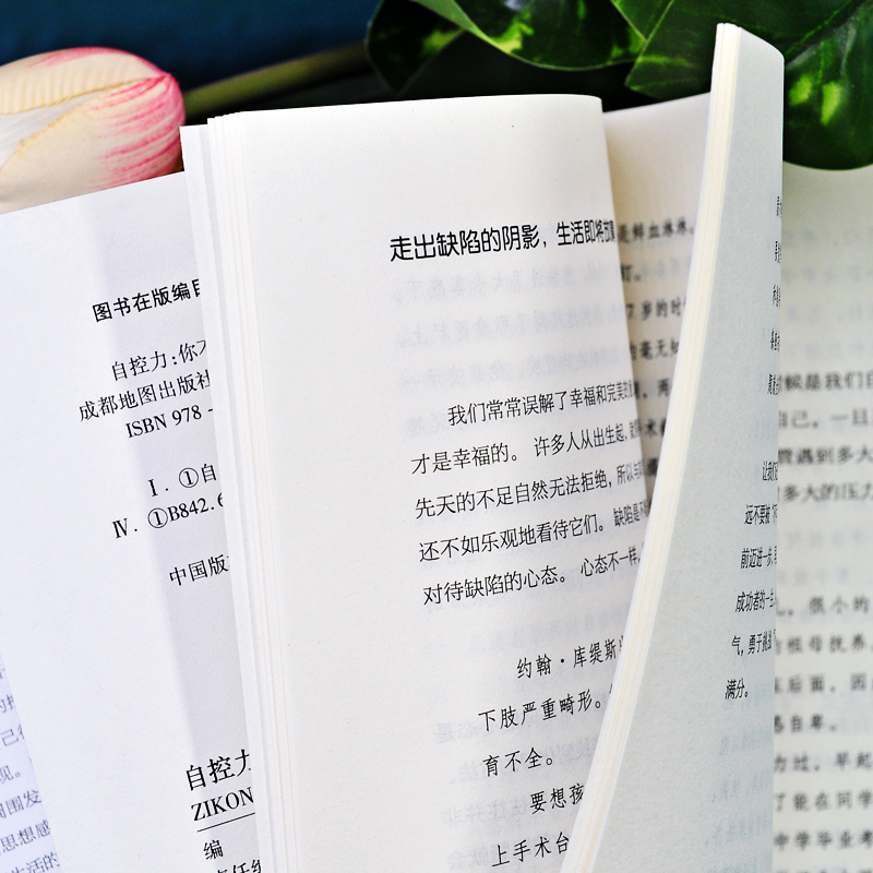 [正版]20册 自控力人生哲学精进时间管理 自律情绪书籍抖音斯坦福大学心理学课程成功励志职场修养心灵鸡汤书凯利麦格尼高清大图