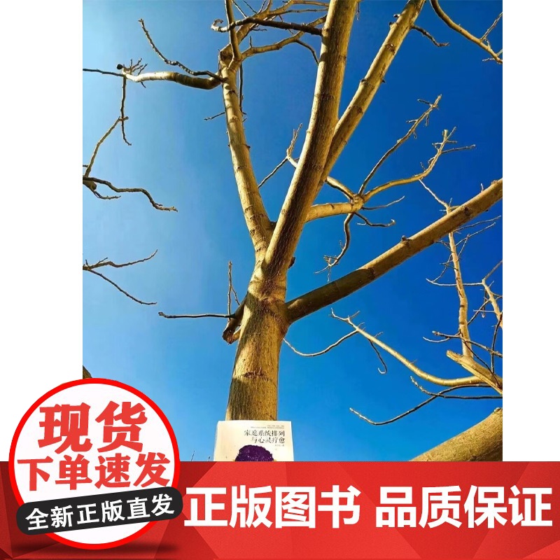 家庭系统排列与心灵疗愈 杨力虹 著 心理学高清大图