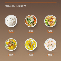 九阳自动电饭煲F-15Z609（白）