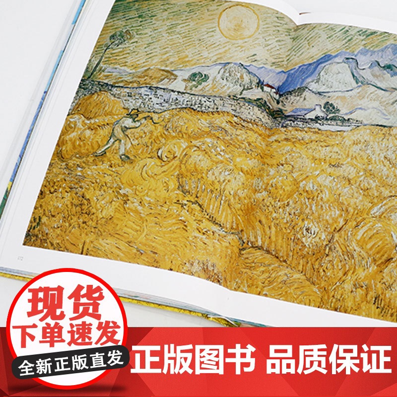 刷边版凡高 追梦赤子心 梵高画集 大开本作品全集 梵高画册 生平传记 印象派 后印象派大师表现主义大师杰作书 艺术书籍珍高清大图