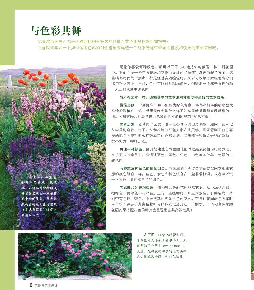 [醉染正版]bjy正版 花坛与花境设计 绿手指园艺丛书 家庭园艺 养花书籍 养花工具书 休闲爱好 养花技巧 花园打理 生高清大图