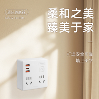 罗格朗 总控 两位五孔两位两孔带USB（2A1C）20W FZ2522K1/AAC 个